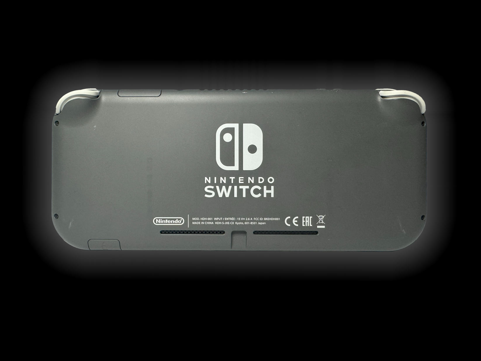 NINTENDO SWITCH LITE – Ghosty Mods